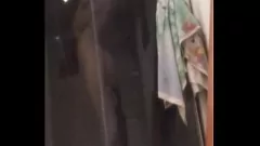 Play Spycam Caught Blonde Teen's Big Tits in Shower
